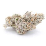 dosidos-feminized-cannabis-seeds