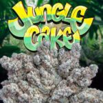 jungle-cake-feminized-cannabis-seeds4