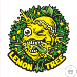 lemon-tree-feminized-cannabis-seeds2