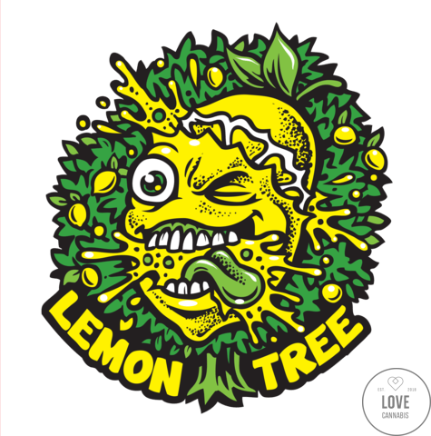 lemon-tree-cannabis-seeds