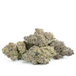 mimosa-feminized-cannabis-seeds