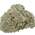 orange-cookies-feminized-cannabis-seeds2
