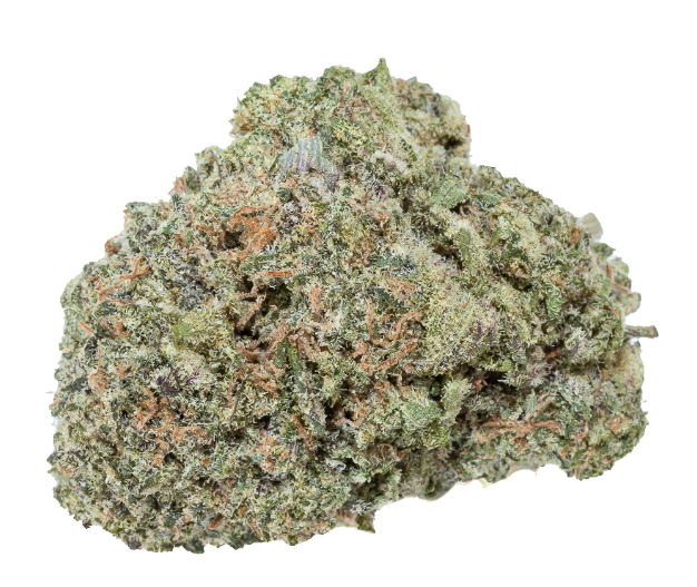 orange-cookies-feminized-cannabis-seeds4