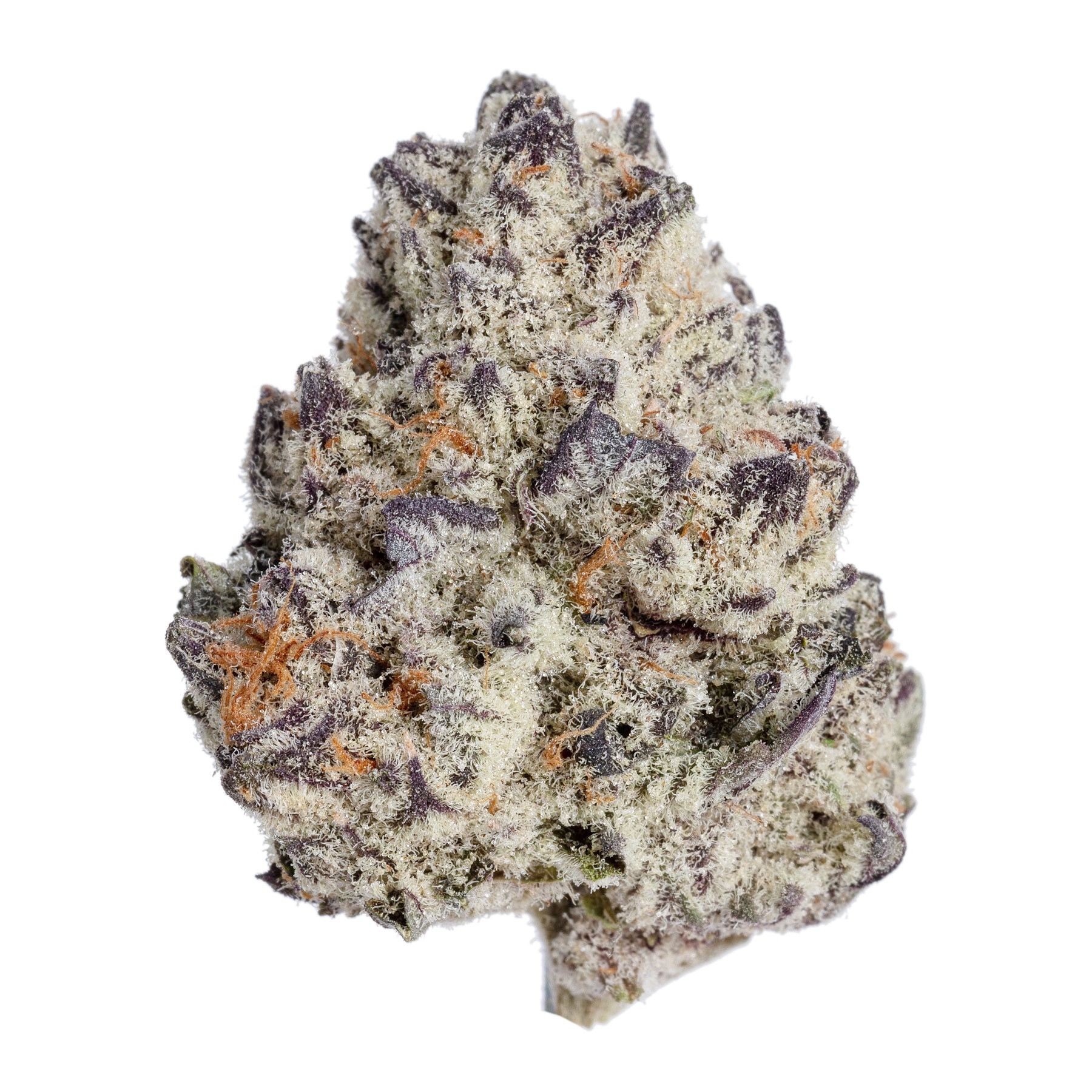 purple-punchsicle-feminized-cannabis-seeds3