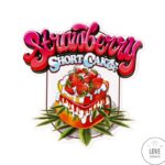 strawberry-shortcake-feminized-cannabis-seeds4