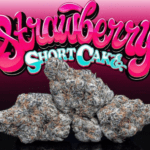 strawberry-shortcake-feminized-cannabis-seeds4