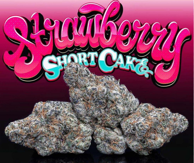 strawberry-shortcake-feminized-cannabis-seeds4