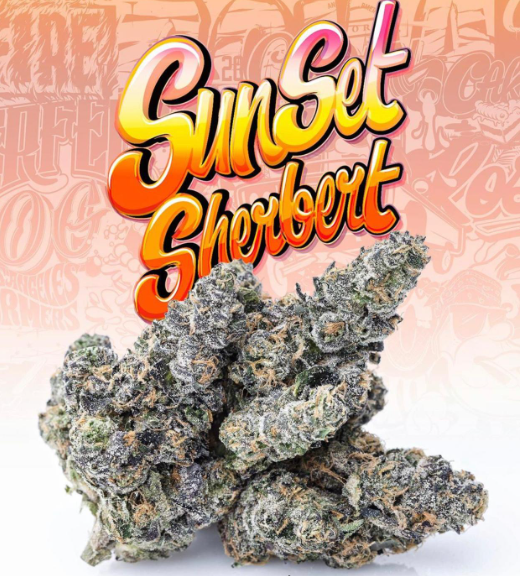 sunset-sherbert-feminized-cannabis-seeds2