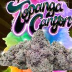topanga-canyon-og-feminized-cannabis-seeds3