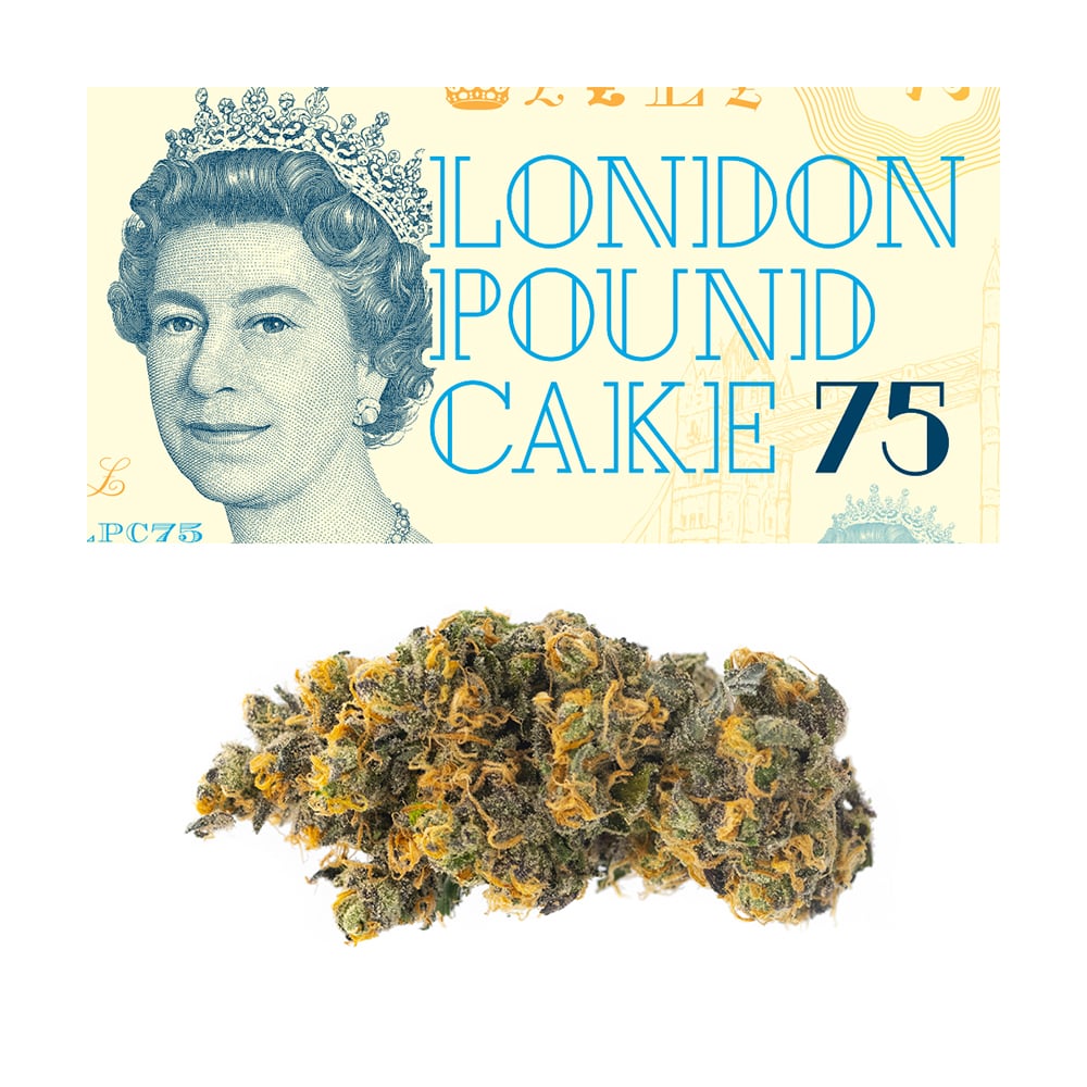 london-pound-cake-feminized-cannabis-seeds2