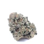 biscotti-feminized-cannabis-seeds3