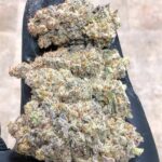 MAC-1-feminized-cannabis-seeds3