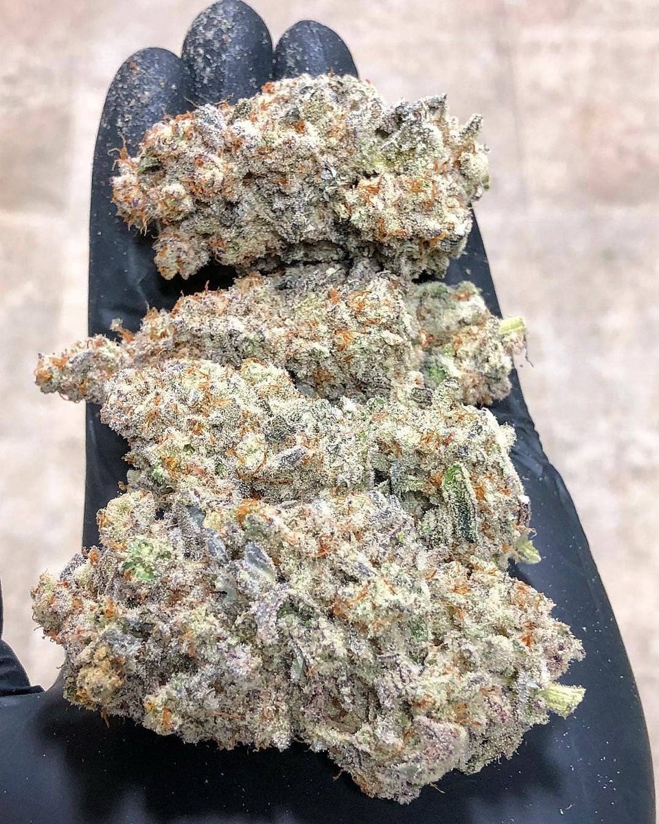 MAC-1-feminized-cannabis-seeds4