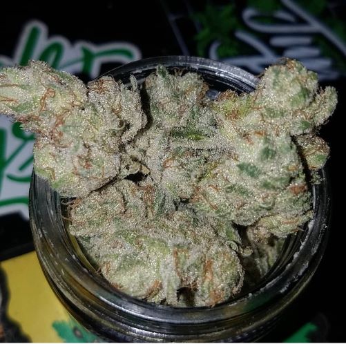 mitten-cake-batter-feminized-cannabis-seeds
