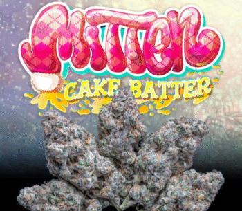 Love Cannabis - Mitten Cake Batter - Feminized Cannabis Seeds
