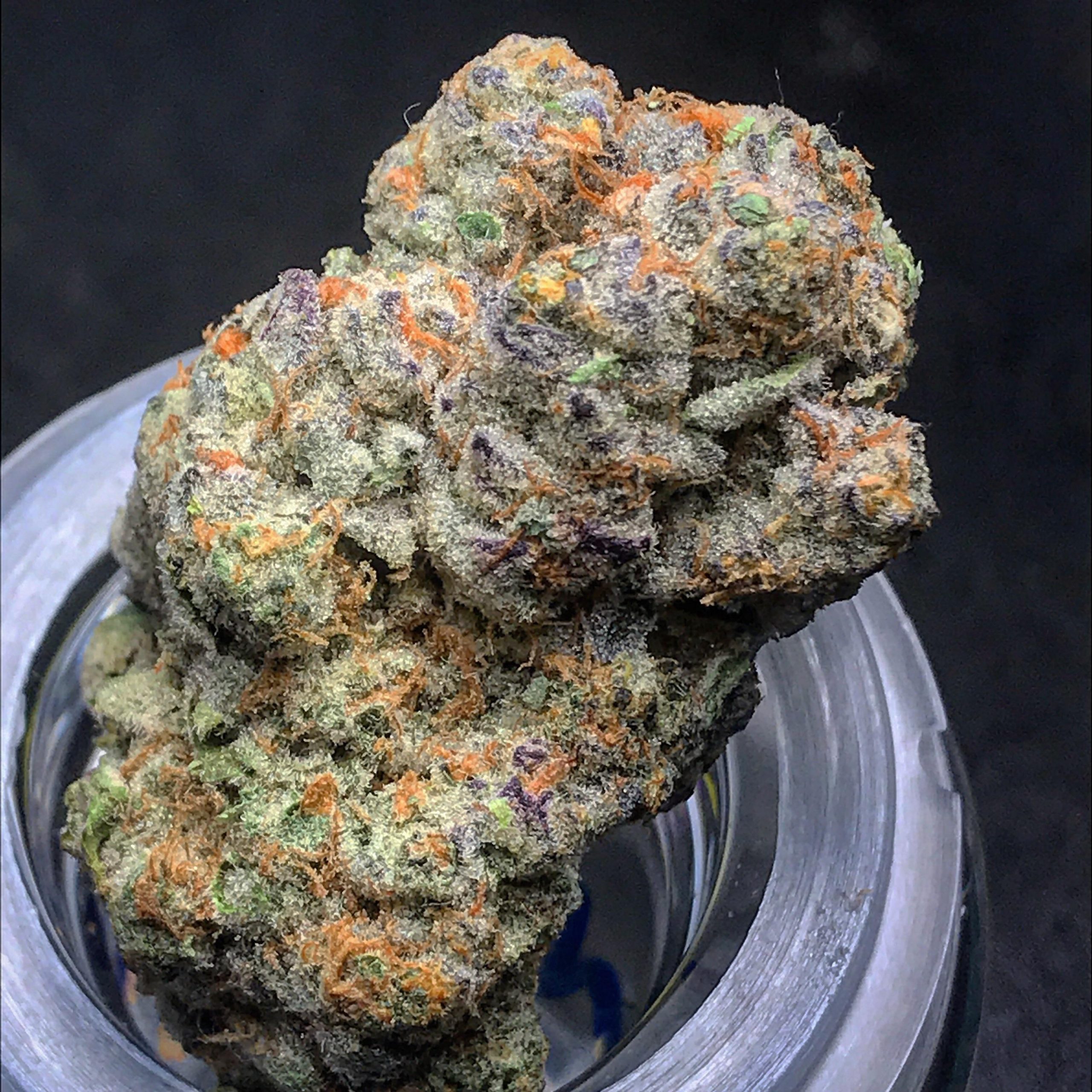 runtz-feminized-cannabis-seeds