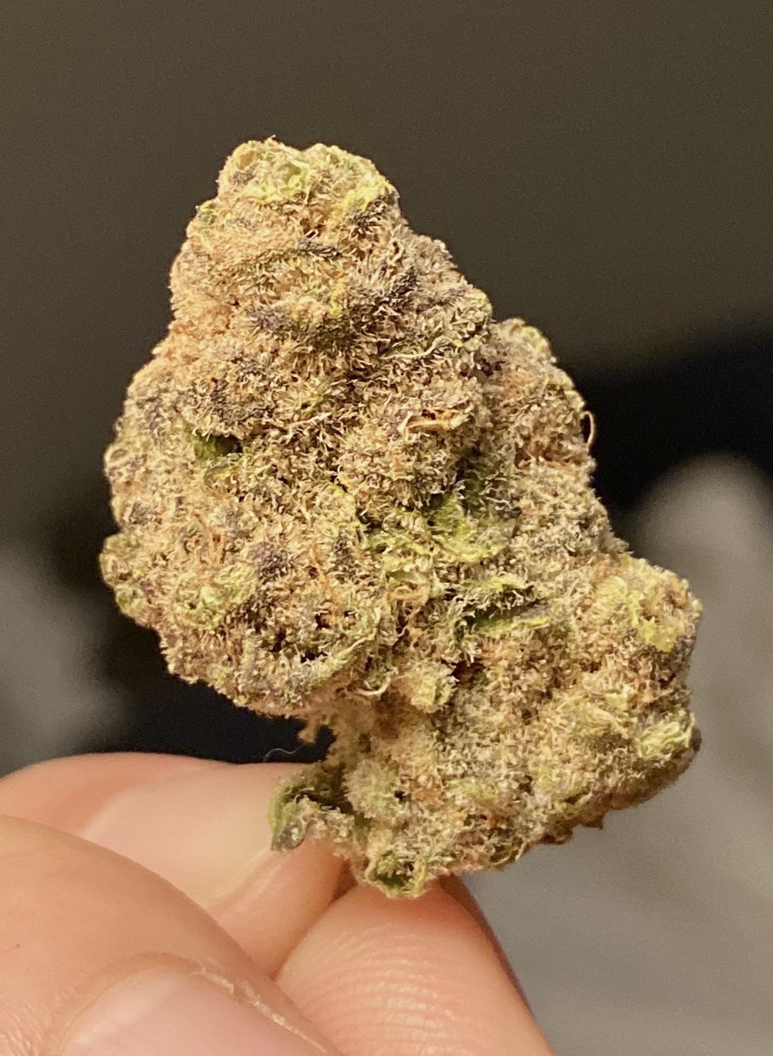 wedding-crasher-feminized-cannabis-seeds2