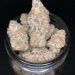 love-cannabis-slurricane-feminized-cannabis-seeds