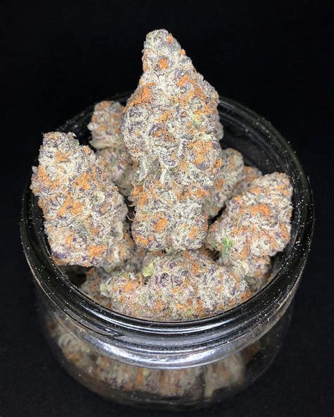 love-cannabis-slurricane-feminized-cannabis-seeds-3