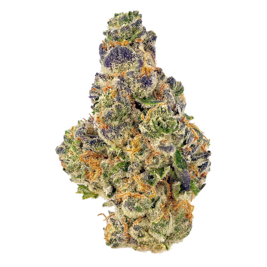kush-mints-feminized-cannabis-seeds-2
