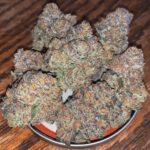 nerdz-aka-nerds-feminized-cannabis-seeds