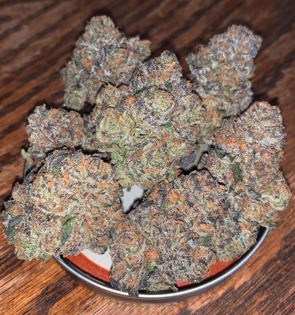 nerds-aka-nerdz-feminized-cannabis-seeds