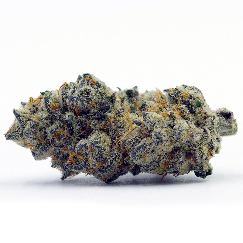 apple-fritter-feminized-cannabis-seeds