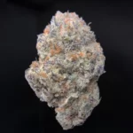 oreoz-feminized-cannabis-seed2-scaled-1