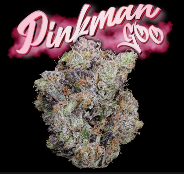pinkman-goo-feminized-cannabis-seeds